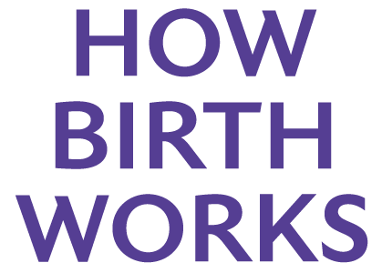 How Birth Works How birth works company logo